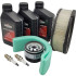 Briggs&Stratton Kit intretinere briggs & stratton 29,30,35xxxx vanguard v2 14hp-20hp etc 992240  cu 1.8 ulei sae30 100005e, bujie [2]