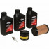 Briggs&Stratton Kit intretinere briggs & stratton 31r7,31r8,31r9xx intek i/c ohv etc  992243  cu 1.8 ulei sae30 100005e, bujie [3]
