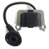 Ikra Bobina aprindere ikra bt4344  1e40f-5a  1e40-2e  tl43 tl50 tl52   b16446  ca 73000424 ke04024aa [2]
