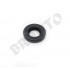Bronto Simering 10x20x4mm  pompa 3wf-3s  ts10x20x4-tc pbr [2]