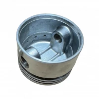 Briggs&Stratton Piston briggs 4hp etc us-515-031 ca 391650 396455, cu bolt x Briggs&Stratton Piston briggs 4hp etc us-515-031 ca 391650 396455, cu bolt x