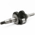 Bronto Arbore cotit  vilbrochen  bronto b-vert g40 h210-c strong40 ts40-s   6 17   wh1v0000000 [2]