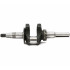 Bronto Arbore cotit  vilbrochen  bronto b-vert g40 h210-c strong40 ts40-s   6 17   wh1v0000000 [3]