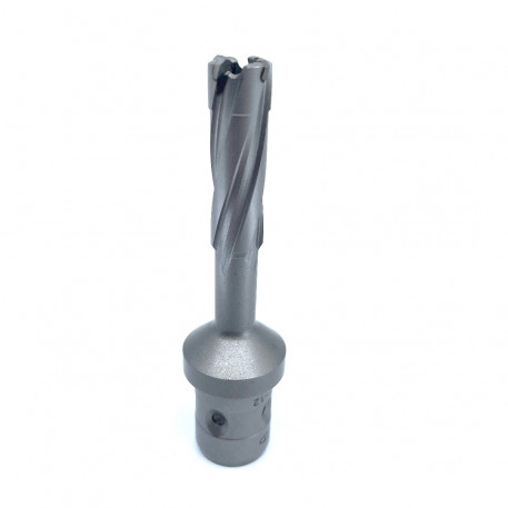 Carota pt. otel din carbura de tungsten, ⌀ 12mm, h=50mm, cu prindere Quick-IN - DXDY.P-TCT-50.12.QI [1]