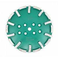 Disc cu segmenti diamantati pt. slefuire pardoseli - segment dur - Verde - 250 mm - prindere 19mm - DXDY.8500.250.23 Disc cu segmenti diamantati pt. slefuire pardoseli - segment dur - Verde - 250 mm - prindere 19mm - DXDY.8500.250.23