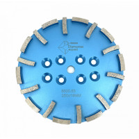 Disc cu segmenti diamantati pt. slefuire pardoseli - segment fin - Albastru - 250 mm - prindere 19mm - DXDY.8500.250.63