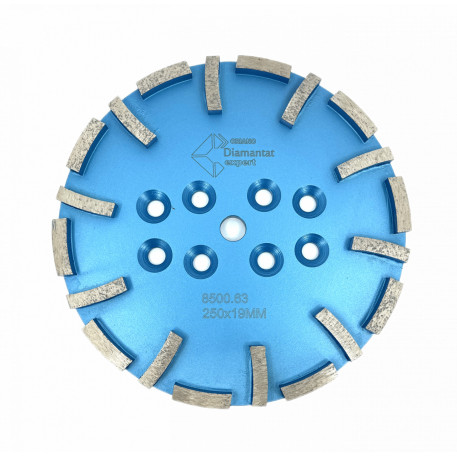 Disc cu segmenti diamantati pt. slefuire pardoseli - segment fin - Albastru - 250 mm - prindere 19mm - DXDY.8500.250.63 [1]