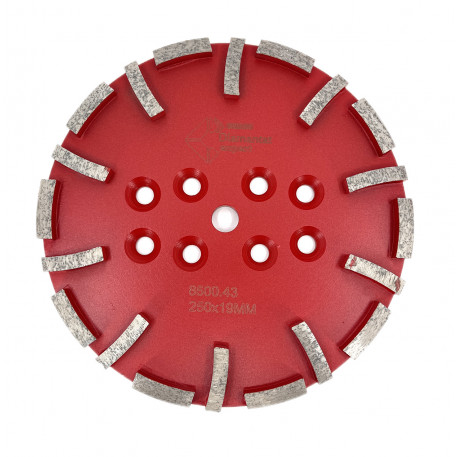 Disc cu segmenti diamantati pt. slefuire pardoseli - segment mediu - Rosu - 250 mm - prindere 19mm - DXDY.8500.250.43 [1]