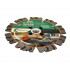 Disc DiamantatExpert pt. Beton armat extrem de dur & piatra - SHARK 125mm x M14 Super Premium - DXDY.2040.125.M14 [4]