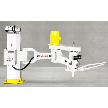Masina de slefuit si polisat cu coloana si brat, 2600mm - Wanlong-MS2600 [1]