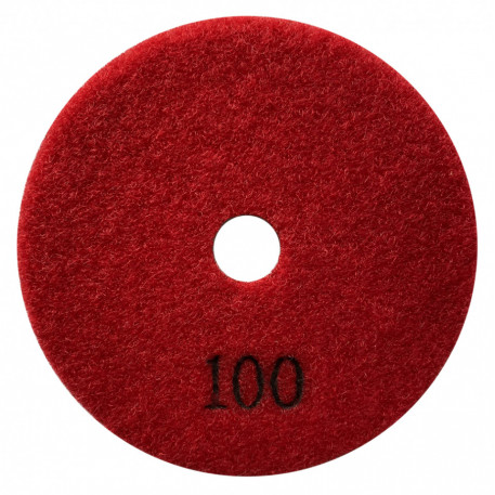 Paduri / dischete diamantate pt. slefuire uscata #100 Ø100mm - DXDY.DRYPAD.100.0100 [1]