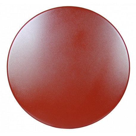 Paleta pt. finisat kit de rost cu masina monodisc 600mm - Raimondi-214 [1]