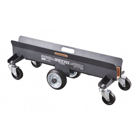 Sistem compact de transport pt. placi de dimensiuni mari, Tyrell MkII - Raimondi-432ZC4R [1]