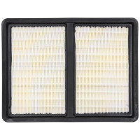 Filtru HEPA pentru DED6607