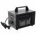 Generator de ozon 60g/h [2]