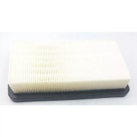 Filtru HEPA pentru DED7075, DED7174