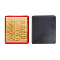 Filtr de aer pentru cositoare cu benzină pentru DED8724-46L,DED8725-51L Filtr de aer pentru cositoare cu benzină pentru DED8724-46L,DED8725-51L
