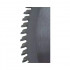 Pânze de fierastrau circular cu carburi metalice pentru Aluminiu 250X100X30 [2]
