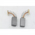 Perii de electrografit 2 buc. [4]