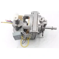 Motor electric