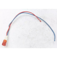 Indicator luminos