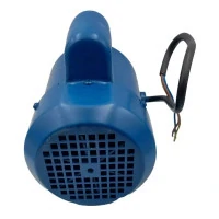 Motor electric Motor electric
