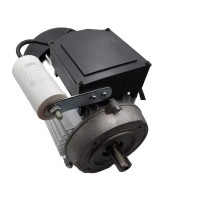 Motor electric