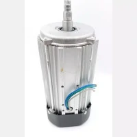 Motor electric de 800W Motor electric de 800W
