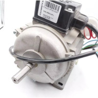 Motor electric