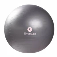Minge fitness 65cm, gri, Sveltus, 1 kg Minge fitness 65cm, gri, Sveltus, 1 kg