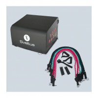 Glute Box, Sveltus