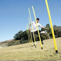 Stalp slalom cu tepusa, DY-FE-01, Dayu Fitness