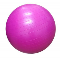Minge de aerobic pentru sala 55cm DY-GB-070-55, 0.5 kg