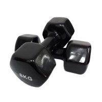 Set gantere epoxy 2 x 8 kg Dayu Fitness