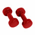 Gantere aerobic 0,5 - 10 kg DY-PV-03 Dayu Fitness, 6 kg [6]