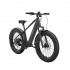Bicicleta electrica Allroad 2-in-1 Fat Tire, MorphRover, Freebeat [4]