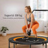 Trambulina fitness Ф122cm, MR-2420B2, Merach [4]
