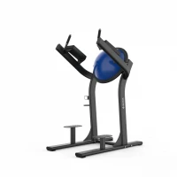 Aparat abdomene și ridicări picioare cu BOSU Integrat SHUA SH-G6386
