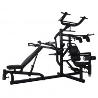 Aparat multifunctional cu 3 statii WB-MS Powertec Negru