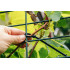 Coliere plastic EXTREME 7,6 × 500 mm, negru, 50 buc. [3]