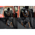 Organizator auto [4]