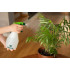 Pulverizator 550ml [8]