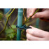 Cleme de fixare a plantelor set de 20 de bucati - 10 mici si 10 mari [2]