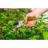 Foarfeca de gradina 190mm, diametru max taiere 10mm [2]