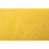 Drisca cu burete tare 25mm, 280x140mm, maner plastic [4]