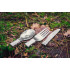 Set tacamuri camping 3 in 1 [9]
