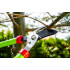 Foarfeca de crengi 680mm, diametru max taiere 35mm [7]