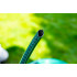Furtun de gradina 50m,  ½” ECONOMIC [5]