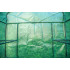 Sera 143 x 143 x 195 cm, folie PE, constructie metalica [6]