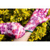 Manusi de gradina, poliester, model floral, masura 7 [10]